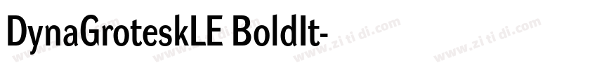 DynaGroteskLE BoldIt字体转换 DynaGroteskLE BoldIt字体转换